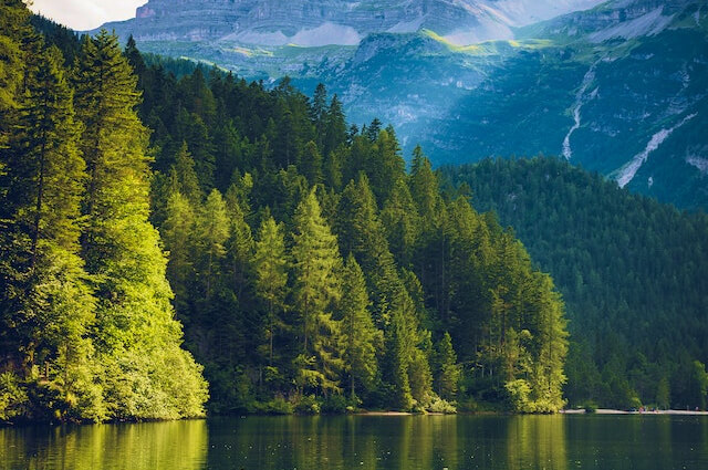 home lakes